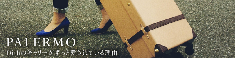 �������Ɨ��s���D���Ȑl�̂��߂̃L�����[�o�b�O�yDith�z���T�C�g